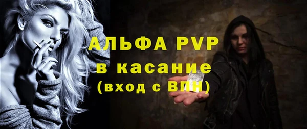 СК Новодвинск