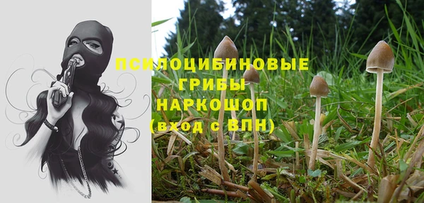 ПСИЛОЦИБИНОВЫЕ ГРИБЫ Нефтекумск