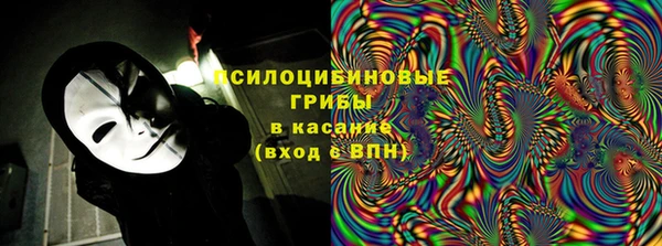 СК Новодвинск