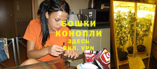 mix Новозыбков