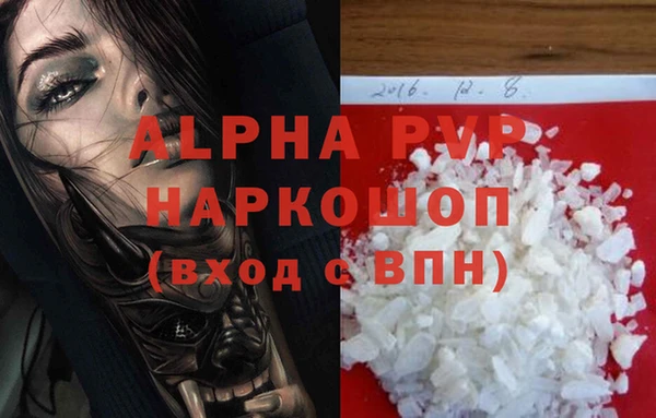 СК Новодвинск