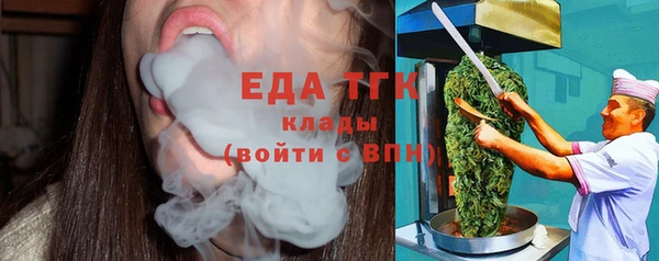 СК Новодвинск